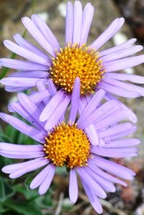 around the area June 2016 027