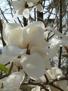 Hong Kong April 2013 070