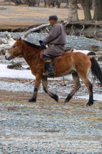 Mongolia 0ctober 2013 - Gill 064